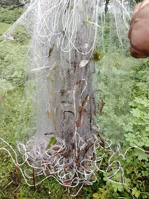 পোর্টফোলিও ছবি 1
