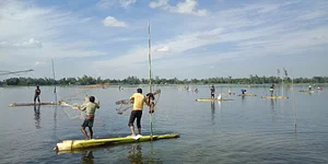 পোর্টফোলিও ছবি 1
